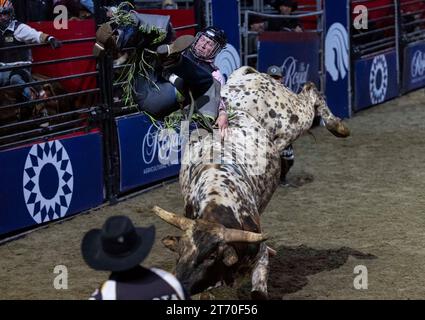 (231113) -- TORONTO, 13 nov. 2023 (Xinhua) -- Kelvin Hillier tombe de son taureau lors de la compétition Bull Riding de la section Rodéo au Royal Horse Show 2023 à Toronto, Canada, le 12 novembre 2023. (Photo de Zou Zheng/Xinhua) Banque D'Images