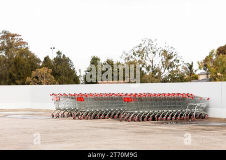 Les chariots sont soigneusement alignés en rangées dans un stationnement ouvert, prêts à être ramassés. Banque D'Images