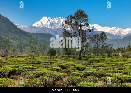 Kanchenjunga chaîne de montagnes de l'Himalaya vue du point de vue de Golitar avec vue des véhicules, des touristes et des magasins à Darjeeling, en Inde Banque D'Images