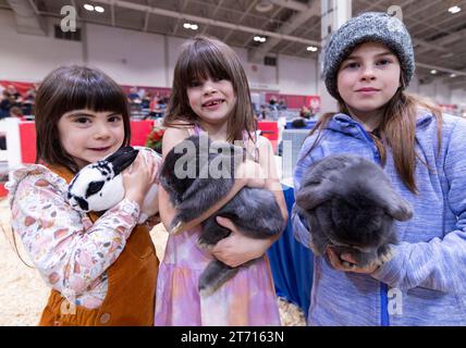 (231113) -- TORONTO, 13 nov. 2023 (Xinhua) -- des filles tenant des lapins posent pour des photos lors du Rabbit, Cavy and Poultry Show de la Royal Agricultural Winter Fair 2023 à Toronto, Canada, le 12 novembre 2023. (Photo de Zou Zheng/Xinhua) Banque D'Images