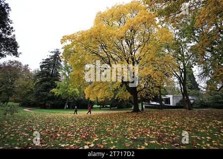 (231113) -- PARIS, 13 novembre 2023 (Xinhua) -- cette photo prise le 12 novembre 2023 montre un paysage d'automne au parc Montsouris à Paris, France. (Xinhua/Gao Jing) Banque D'Images