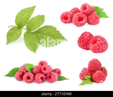 Framboises mûres fraîches et feuilles vertes isolées sur blanc, ensemble Banque D'Images