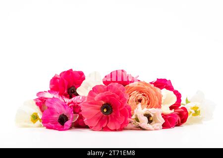 Élégantes couleurs mélangées ranunculus fleurs de printemps sur fond blanc. Buttercups à ressort. Bouquet Ranunculus découpé. Banque D'Images