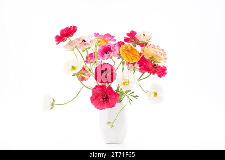 Élégant bouquet de printemps ranunculus mélangé dans un vase blanc sur fond blanc. Buttercups à ressort. Bouquet Ranunculus découpé. Banque D'Images