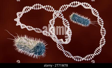 Rendu 3D de l'ADN circulaire plasmidique et des bactéries Escherichia coli Banque D'Images