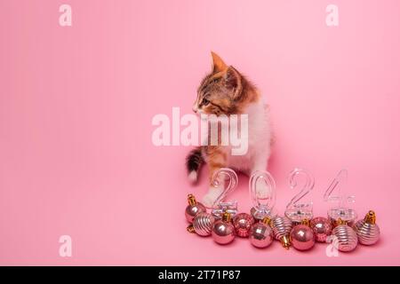 Petit chaton tricolore sur fond rose assis à côté des numéros transparents 2024 nouvel an. Fond isolé avec des boules de jouets de Noël sur le sol. M Banque D'Images