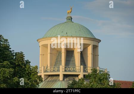 Kunstgebäude Stuttgart, Württembergischer Kunstverein, Schloßplatz, Stuttgart, Bade-Württemberg, Deutschland Banque D'Images