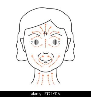 Illustration des lignes de massage sculptant le visage DIY Illustration de Vecteur