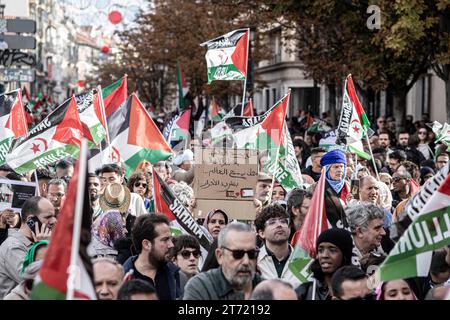 Madrid, Espagne. 11 novembre 2023. Des foules de manifestants brandissent des drapeaux pendant la manifestation. Une manifestation massive menée par le Coordonnateur d’Etat des associations solidaires avec le Sahara (CEAS-Sahara) visite Madrid pour réclamer l’autodétermination du Sahara. (Photo de Jorge Contreras Soto/SOPA Images/Sipa USA) crédit : SIPA USA/Alamy Live News Banque D'Images