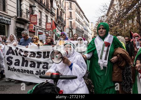 Madrid, Espagne. 11 novembre 2023. Des manifestants prennent part à la manifestation. Une manifestation massive menée par le Coordonnateur d’Etat des associations solidaires avec le Sahara (CEAS-Sahara) visite Madrid pour réclamer l’autodétermination du Sahara. (Photo de Jorge Contreras Soto/SOPA Images/Sipa USA) crédit : SIPA USA/Alamy Live News Banque D'Images