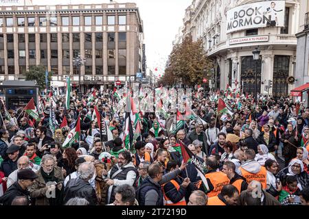 Madrid, Espagne. 11 novembre 2023. Des foules de manifestants brandissent des drapeaux pendant la manifestation. Une manifestation massive menée par le Coordonnateur d’Etat des associations solidaires avec le Sahara (CEAS-Sahara) visite Madrid pour réclamer l’autodétermination du Sahara. (Photo de Jorge Contreras Soto/SOPA Images/Sipa USA) crédit : SIPA USA/Alamy Live News Banque D'Images