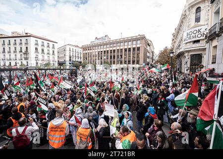 Madrid, Espagne. 11 novembre 2023. Des foules de manifestants brandissent des drapeaux pendant la manifestation. Une manifestation massive menée par le Coordonnateur d’Etat des associations solidaires avec le Sahara (CEAS-Sahara) visite Madrid pour réclamer l’autodétermination du Sahara. (Photo de Jorge Contreras Soto/SOPA Images/Sipa USA) crédit : SIPA USA/Alamy Live News Banque D'Images