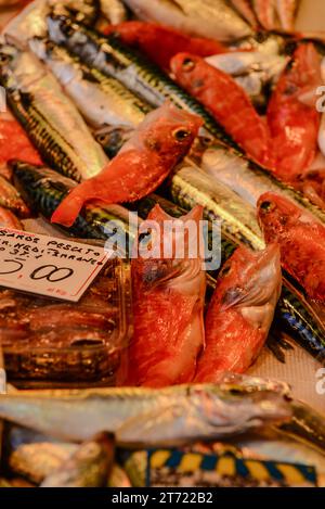 J'ai repéré des fruits de mer frais à Piscaria lors de ma promenade tranquille à travers les vieux marchés de rue en plein air de Catane, Sicile, Italie Banque D'Images