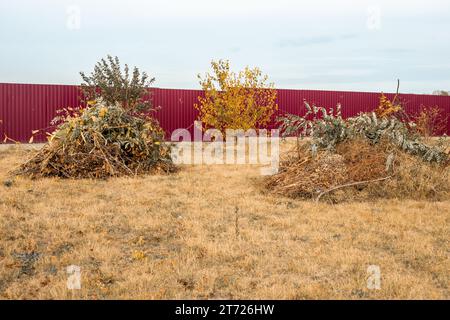 Deux piles de branches sèches et d'herbe dans le jardin. Nettoyer le jardin des débris à l'automne. Banque D'Images