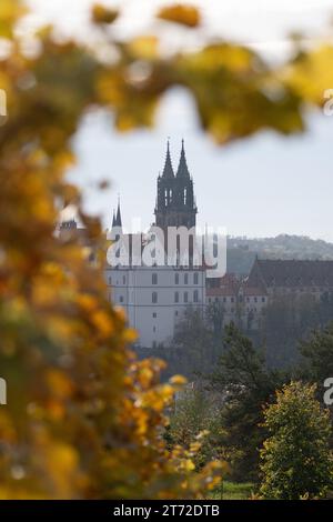 13 novembre 2023, Saxe, Meißen : vue sur un vignoble du château d'Albrechtsburg et la cathédrale. Photo : Sebastian Kahnert/dpa Banque D'Images