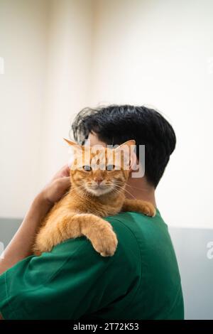 Un chat orange vif, bercé dans les bras d'une infirmière, symbolise la chaleur et le confort. Banque D'Images