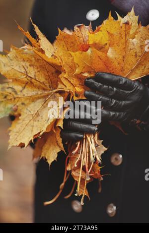 Gros plan des mains avec des feuilles d'automne, vêtues de gants en cuir noir. Banque D'Images