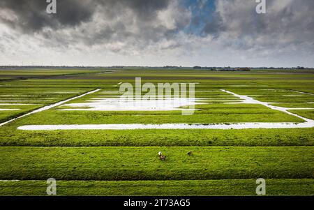 STRIJEN - Une photo de drone des prairies inondées en raison des fortes pluies de ces derniers jours. Le KNMI prévoit également beaucoup de pluie dans les prochains jours, provoquant des inondations dans les prairies. Photo : ANP / Hollandse Hoogte / Jeffrey Groeneweg pays-bas sortie - belgique sortie Banque D'Images