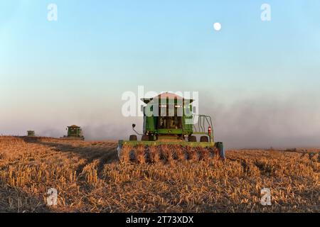 John Deere combine STS 9670, rotor à balles, récolte de céréales Sorgho 'Sorgho vulgare', soleil couchant, lune montante. Banque D'Images