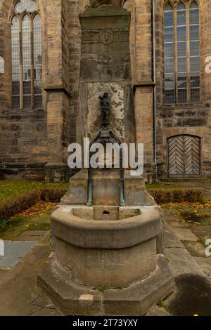 Gustav II Adolphe de Suède Fontaine en face de l'église des prédicateurs à Erfurt Banque D'Images