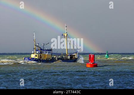 Crevette coupeur 0,191 Romy quittant le port d'Ostende pour aller au chalutage de fond pour les crevettes le long de la côte de la mer du Nord par une journée orageuse, en Belgique Banque D'Images