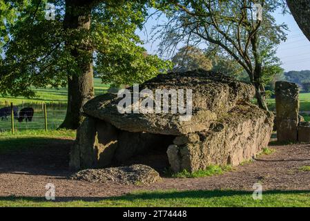 Grand Dolmen de Wéris, galerie mégalithique tombe / tombe chambrée près de Durbuy en été, province du Luxembourg, Ardennes belges, Wallonie, Belgique Banque D'Images