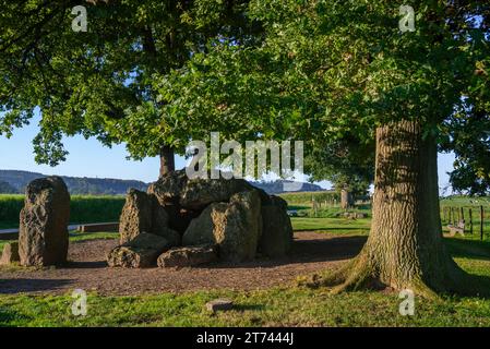 Grand Dolmen de Wéris, galerie mégalithique tombe / tombe chambrée près de Durbuy en été, province du Luxembourg, Ardennes belges, Wallonie, Belgique Banque D'Images