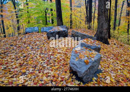 Des feuilles d'automne aux couleurs vives recouvraient le sentier de pierres un jour de pluie Banque D'Images