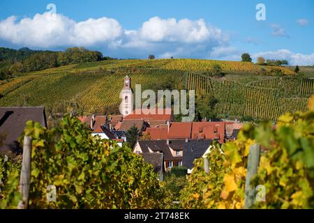 Village viticole de Riquewihr, alsace, panorama dans les vignobles d'automne Banque D'Images