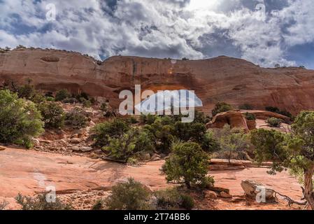 Une vue panoramique de l'arche Wilson près de Moab, Utah au printemps Banque D'Images