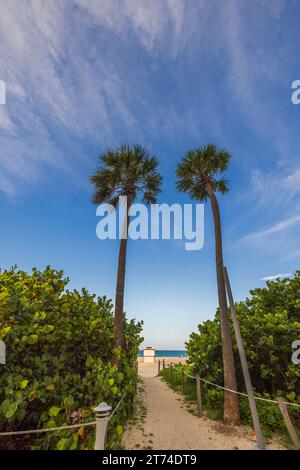 Sentier pittoresque à travers les plantes tropicales menant du sentier rouge connu sous le nom de Walking Street à la plage de sable le long de l'océan Atlantique. Miami Beach. ÉTATS-UNIS. Banque D'Images