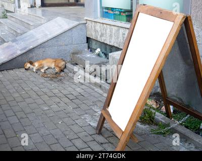 Maquette près d'un café de rue. Publicité dans la rue. Maquette à côté d'un chien endormi. Espace publicitaire Banque D'Images