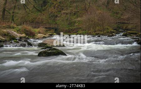 Eau qui coule rapidement sur les rivières à National Trusts Watersmeet à North Devon, Devon, Angleterre, Royaume-Uni. Partie du parc national Exmoor. Banque D'Images