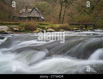 Eau qui coule rapidement sur les rivières à National Trusts Watersmeet à North Devon, Devon, Angleterre, Royaume-Uni. Partie du parc national Exmoor. Banque D'Images