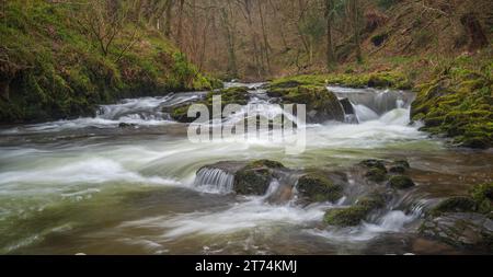 Eau qui coule rapidement sur les rivières à National Trusts Watersmeet à North Devon, Devon, Angleterre, Royaume-Uni. Partie du parc national Exmoor. Banque D'Images