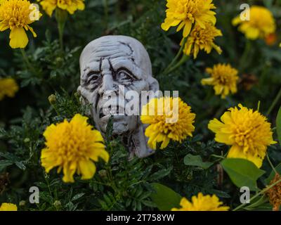 Visage d'Halloween en plastique sinistre au milieu d'une gamme de fleurs de souci vibrantes, ajoutant une touche unique à vos créations d'Halloween Banque D'Images