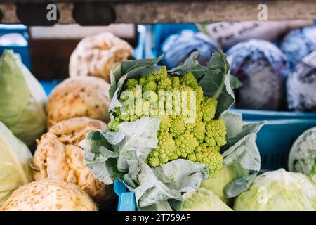 Gros plan vert romanesco chou-fleur Banque D'Images