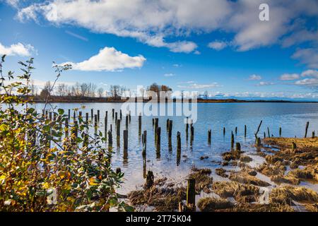 Marée basse sur le marais côtier de Steveston Colombie-Britannique Canada Banque D'Images