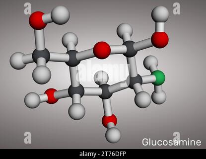 Molécule de glucosamine. Il est utilisé pour le traitement de l'arthrose. Modèle moléculaire. Rendu 3D. Illustration Banque D'Images