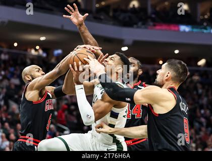 Milwaukee, USA. 13 novembre 2023. Giannis Antetokounmpo (C, avant) des Bucks de Milwaukee participe au match de saison régulière de la NBA 2023-2024 entre les Bucks de Milwaukee et les Bulls de Chicago à Milwaukee, aux États-Unis, le 13 novembre 2023. Crédit : Joel Lerner/Xinhua/Alamy Live News Banque D'Images