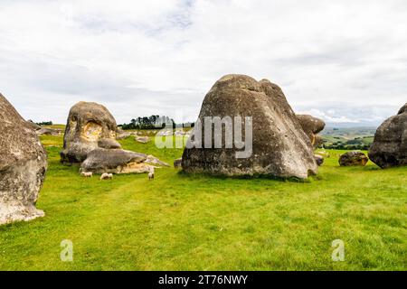 Les rochers Elephant Rocks près de Duntroon dans le nord de l'Otago, en Nouvelle-Zélande, sont une collection de grandes roches calcaires altérées. La zone plus large autour de Duntroon est k Banque D'Images