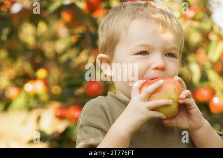 Portrait d'un jeune garçon debout dans un verger de mordre une pomme Banque D'Images