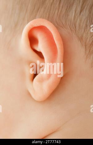 Close up of Baby's Ear Banque D'Images