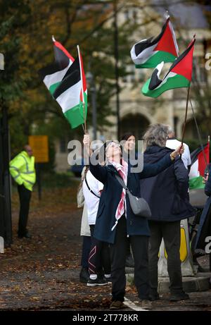 Des partisans se rassemblent devant la Cour de la Couronne de Snaresbrook et brandissent des drapeaux en solidarité avec les accusés. Les actionistes palestiniens connus sous le nom de « The Elbit Eight » font face à des accusations de conspiration pour commettre des dommages criminels, des cambriolages et certains d'entre eux, du chantage, contre la société d'armement israélienne Elbit Systems. Les charges remontent à 2020. Six semaines ont été réservées au tribunal. Palestine action pense que les entreprises d'Elbit au Royaume-Uni fabriquent des drones qui sont utilisés à Gaza et ailleurs contre le peuple palestinien. Leurs actions directes contre Elbit Systems au Royaume-Uni ont déjà vu deux de leurs 10 actions Banque D'Images