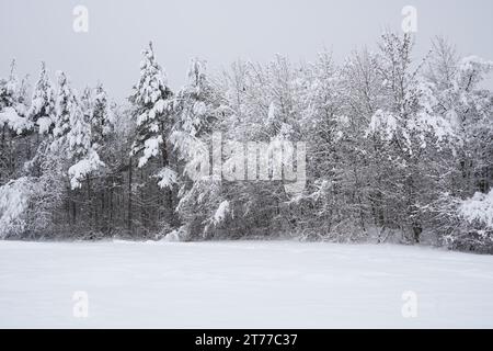 Village Urdorf en Suisse et ses environs pendant la saison hivernale sous de fortes chutes de neige en janvier 2021. Banque D'Images