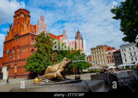 06-07-2022 : sculpture de grenouille dorée en bronze versant de l'eau, détail d'une fontaine. Architecture de la vieille ville de Torun, Pologne Banque D'Images