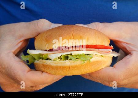 "Sandwich". Banque D'Images