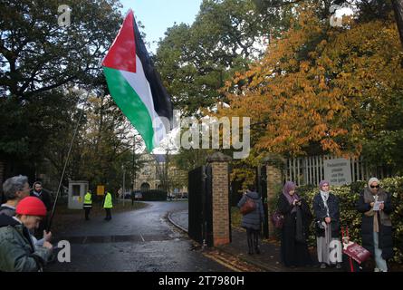 Des partisans se rassemblent devant la Cour de la Couronne de Snaresbrook pour brandir des drapeaux en solidarité avec les accusés. Les actionistes palestiniens connus sous le nom de « The Elbit Eight » font face à des accusations de conspiration pour commettre des dommages criminels, des cambriolages et certains d'entre eux, du chantage, contre la société d'armement israélienne Elbit Systems. Les charges remontent à 2020. Six semaines ont été réservées au tribunal. Palestine action pense que les entreprises d'Elbit au Royaume-Uni fabriquent des drones qui sont utilisés à Gaza et ailleurs contre le peuple palestinien. Leurs actions directes contre Elbit Systems au Royaume-Uni ont déjà vu deux de leur site 10 Banque D'Images