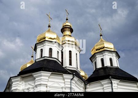 La nature fournit un cadre royal pour les dômes dorés d'une église orthodoxe, qui se dressent majestueusement contre la toile sereine d'un ciel bleu clair. Banque D'Images