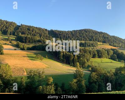 Une vue panoramique sur les collines verdoyantes parsemées d'arbres et de champs de ferme luxuriants Banque D'Images